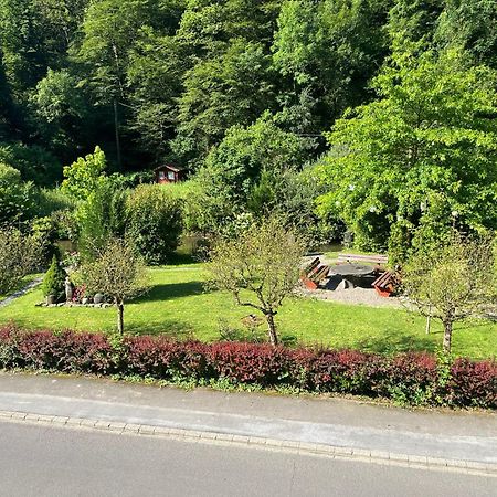 Ferienwohnung Weirich モーゼルケルン エクステリア 写真